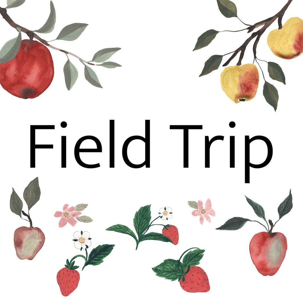 Field Trip